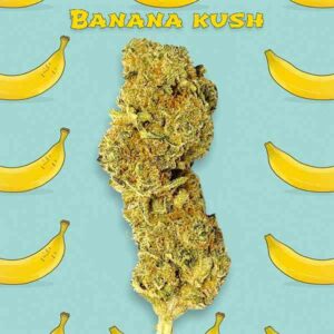 Banana Kush CBD indoor Gold Line