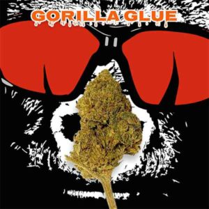 Gorilla Glue Greenhouse CBD Silver Line