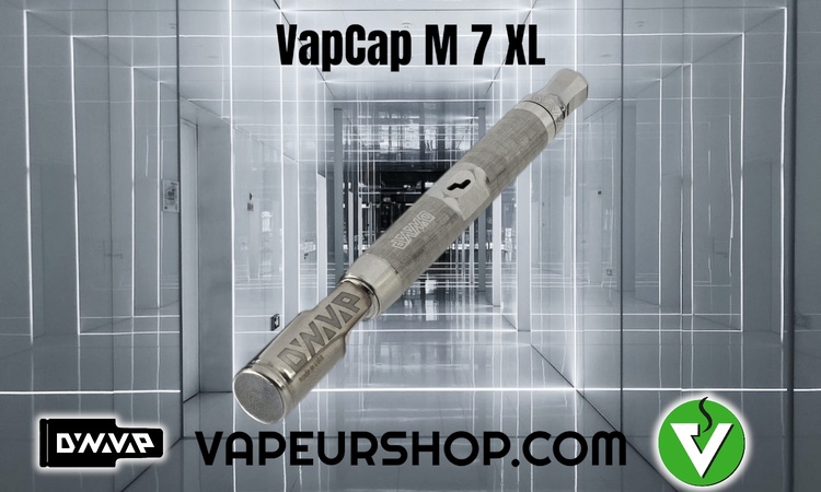 Vapcap M7 XL vaporisateur Dynavap en acier inoxydable