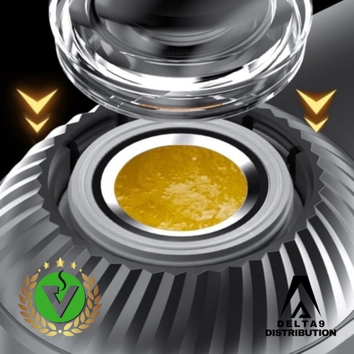 DabGo Dab pen 2 Dabgo dab pen Premier dab pen jetable au monde